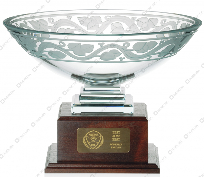 Awards & Recognition