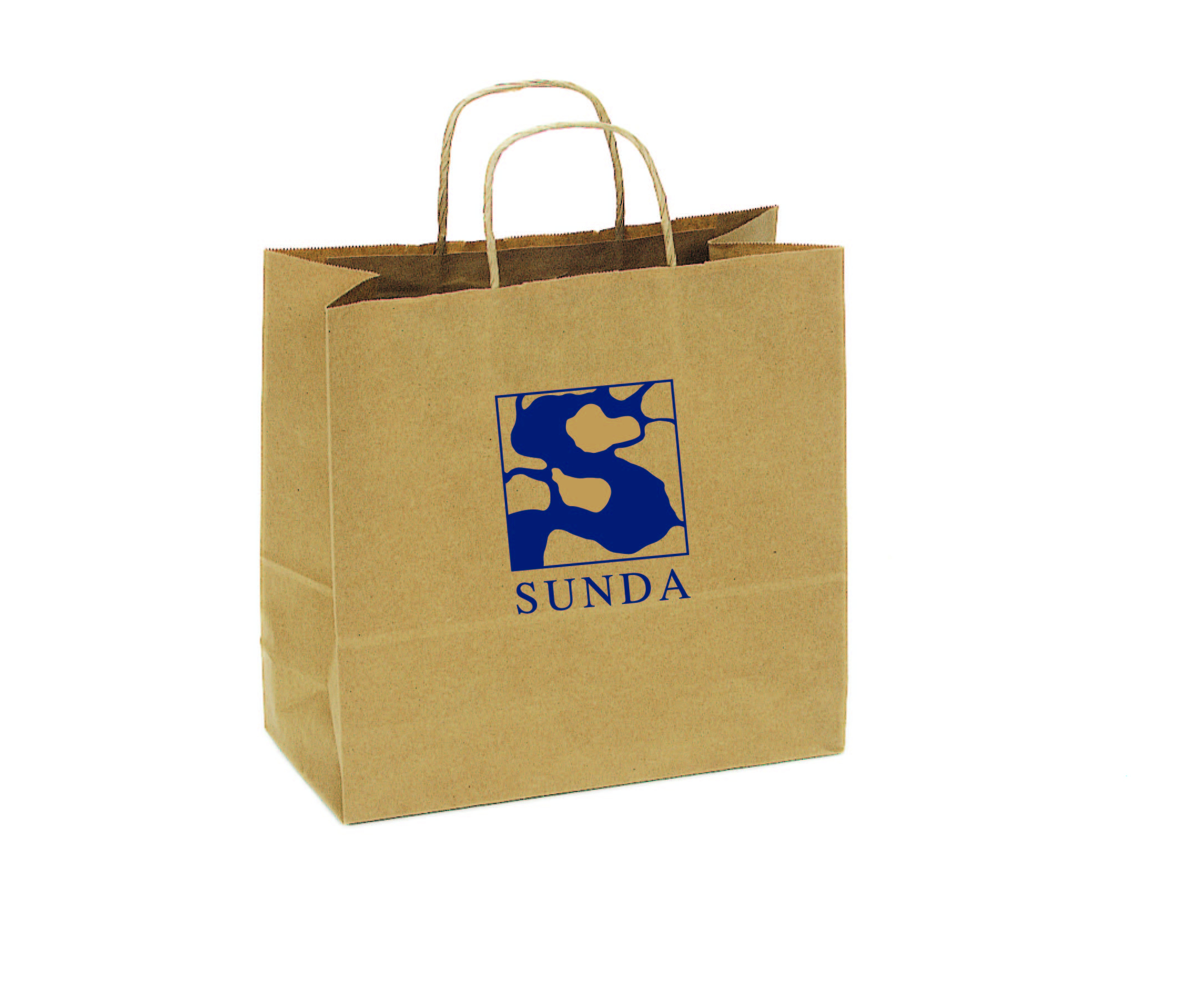 Small custom printed merchandise shopping paper bags